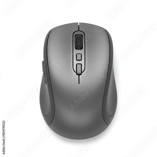 Obraz Gray computer mouse with transparent background