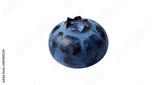Fototapeta Single ripe blueberry isolated on transparent background
