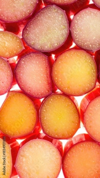 Obraz Rhubarb stalks sliced and backlit