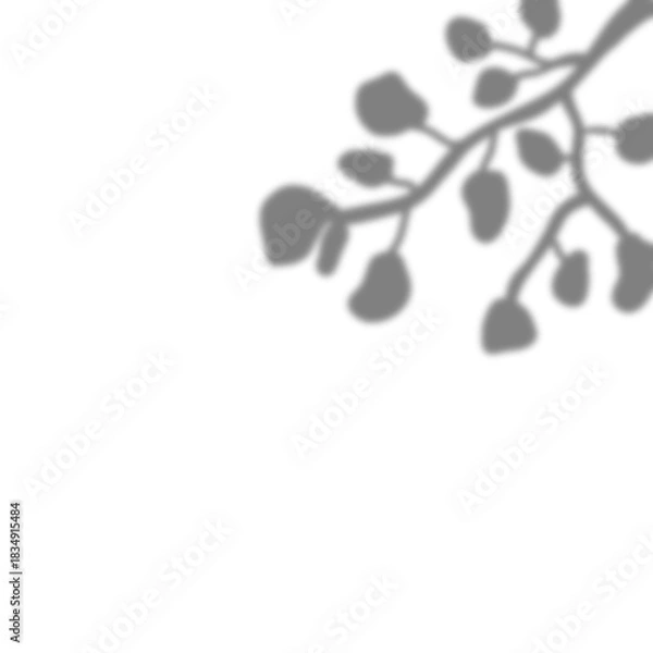 Obraz Tropical leaveas shadow transparent overlay