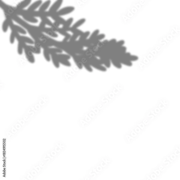 Obraz Tropical leaves shadow transparent overlay