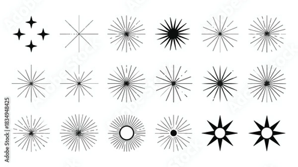 Obraz A Collection of Black and White Starburst and Sparkle Graphic Elements