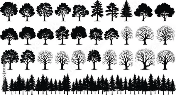 Fototapeta Tree silhouette set, black vector illustration, forest shapes, seasonal foliage, coniferous and deciduous trees, nature design, botanical art