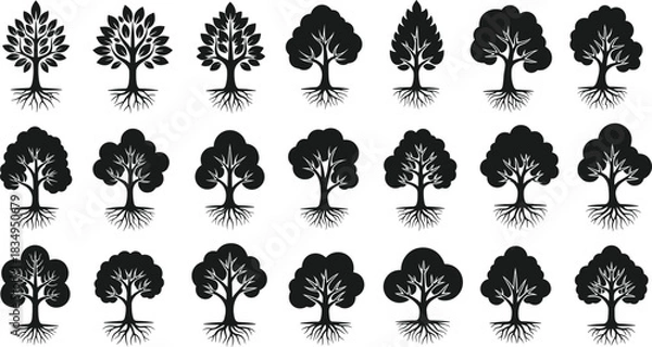 Fototapeta Tree, illustration, sketch, black, white, foliage, roots, silhouette, nature, botanical, graphic, design, stylized, forest, leaf, shape, artistic, diverse, pattern, drawing