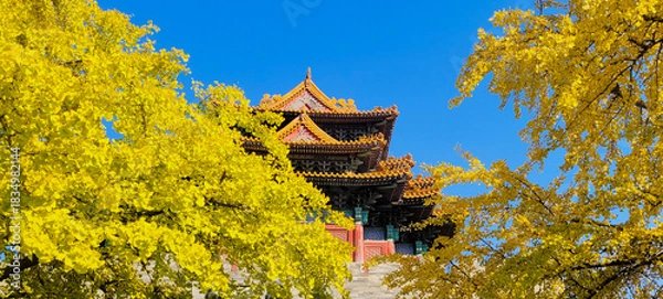 Fototapeta Forbidden City  iin autumn