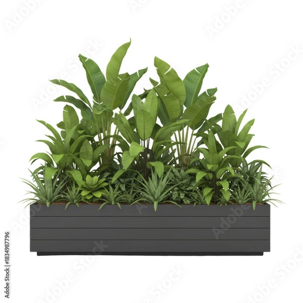 Fototapeta Lush tropical foliage arrangement in a sleek planter box against an isolated space
