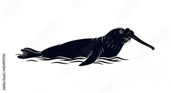 Fototapeta Silhouette of a seal with a long snout swimming in water.