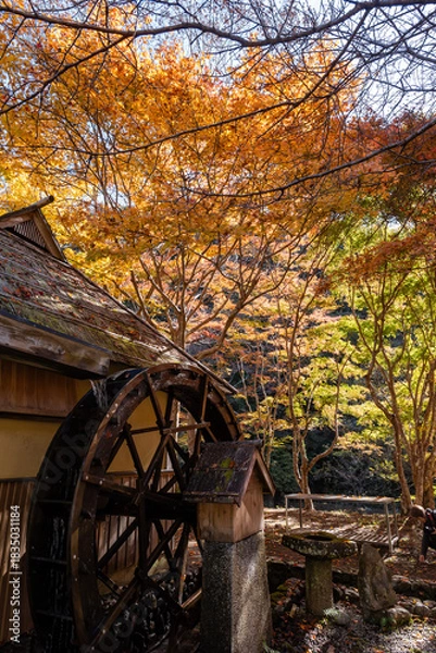 Obraz 紅葉と水車小屋は日本の懐かしい秋の原風景
