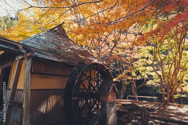 Obraz 紅葉と水車小屋は日本の懐かしい秋の原風景
