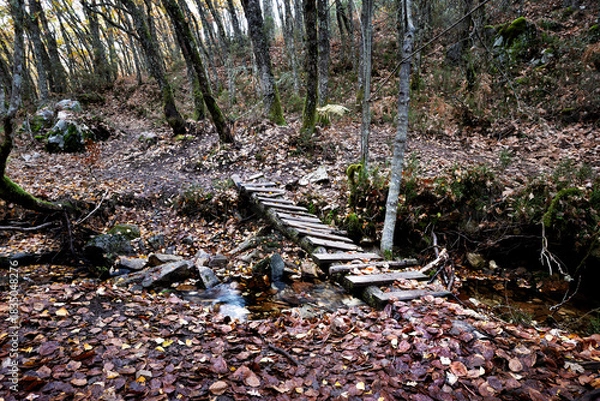 Obraz Puente rústico sobre el arroyo