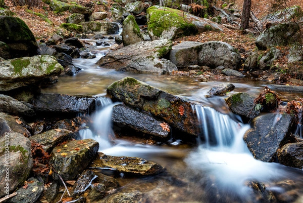 Obraz Otoño en el arroyo