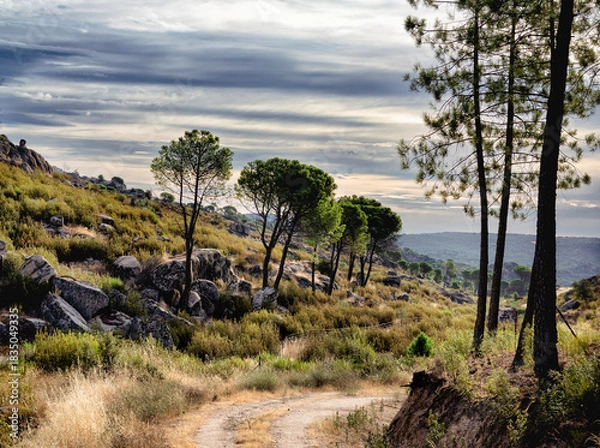 Obraz Camino del arroyo