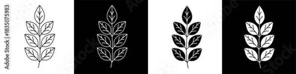 Fototapeta Four variations of botanical leaves in black and white Elegant design elements for decoration and art
