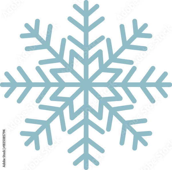 Obraz snowflakes on a white background