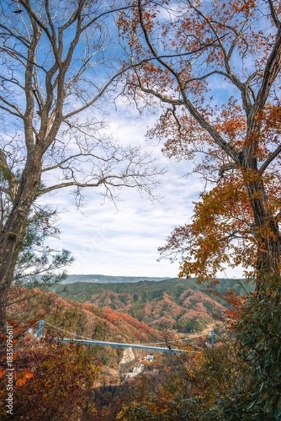 Fototapeta 茨城県常陸太田市　紅葉の竜神大吊り橋
