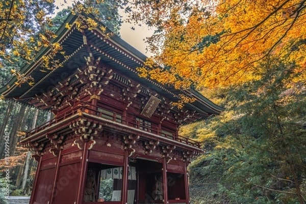 Fototapeta 茨城県日立市　紅葉の御岩神社
