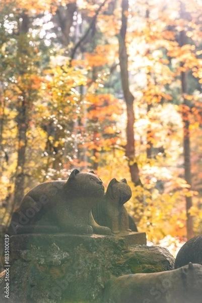 Fototapeta 茨城県日立市　紅葉の御岩神社
