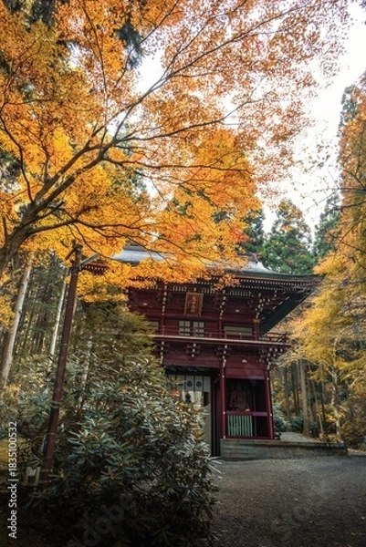 Fototapeta 茨城県日立市　紅葉の御岩神社
