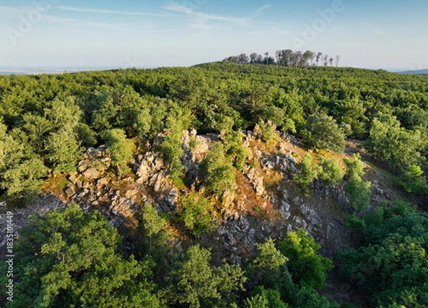 Obraz Mountain forest panorama at sunset, green landscape