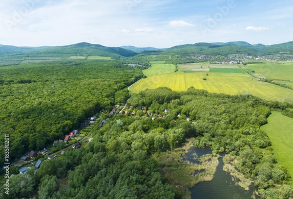 Fototapeta Aerial view of meadows with rows of trees, Budmerice, Slovakia