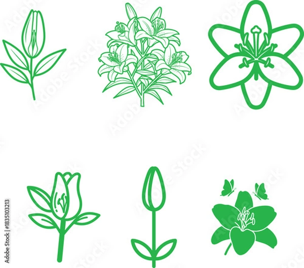 Fototapeta Green floral icon set with lilies tulips and botanical elements in minimalist design for nature themed projects and creative applications perfect for spring and summer designs