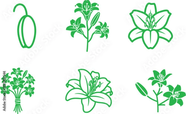 Fototapeta Green Lily Flower Vector Graphics Collection of Different Floral Arrangements Representing Blossoms Bouquets and Buds for Artistic Design Elements and Springtime Themes