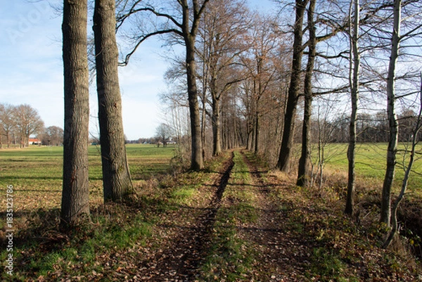 Fototapeta Region Teutoburger Wald