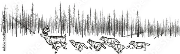 Obraz Polowanie na wilki na jelenie.