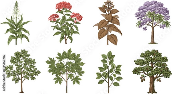 Fototapeta Botanical tree and flower collection with diverse leaves, blossoms, seasonal foliage, plant species, nature elements for educational and decorative use