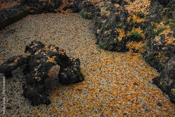 Fototapeta 千葉県成田市　紅葉の成田山新勝寺
