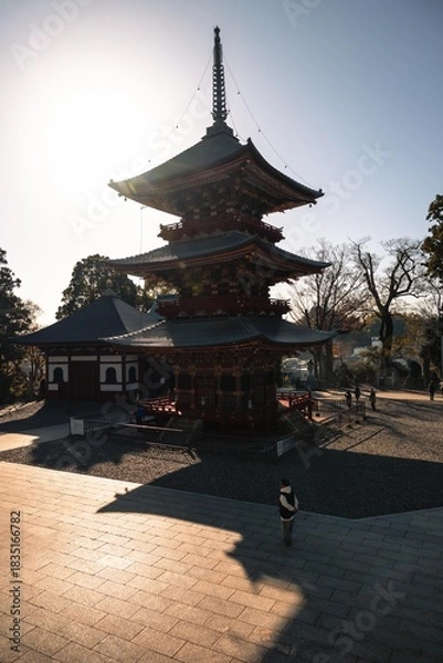 Fototapeta 千葉県成田市　紅葉の成田山新勝寺
