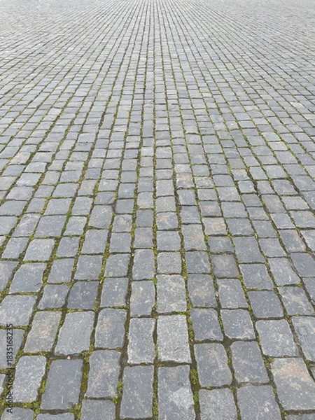 Obraz Abstract background. Old cobblestone pavement closeup