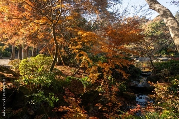 Fototapeta 千葉県成田市　紅葉の成田山新勝寺
