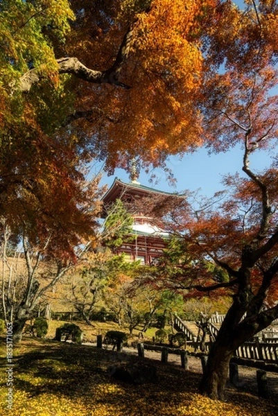 Fototapeta 千葉県成田市　紅葉の成田山新勝寺
