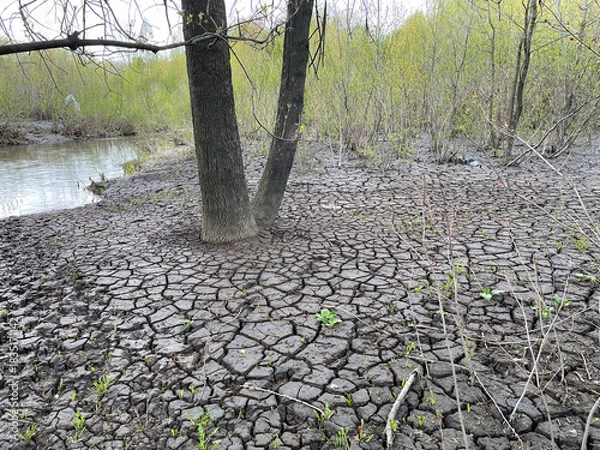 Obraz Dry and broken grey soil background