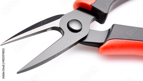 Obraz Diagonal Cutting Plier Isolated on White Background