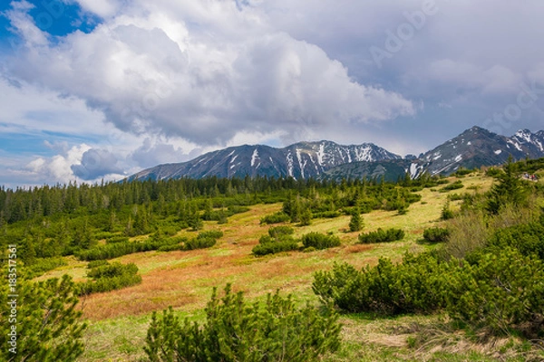 Fototapeta Tatra Mountains