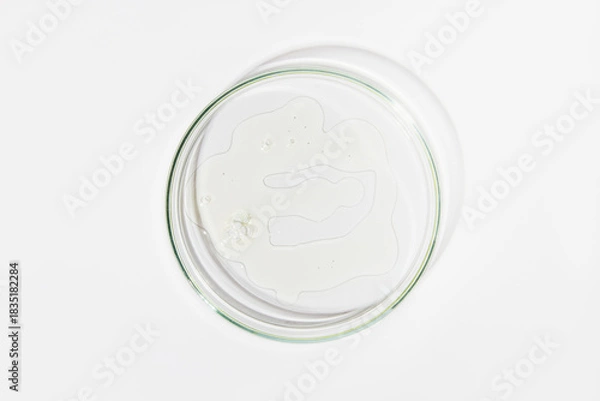 Obraz Petri Dish with Liquid on Light Background