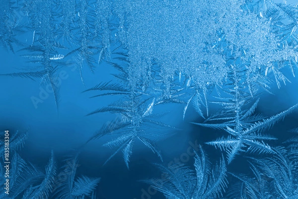 Obraz frost on windowpane