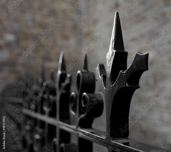 Obraz pointy fence