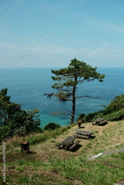 Fototapeta Recreational area with a picnic table and benches on a high coastal cliff, surrounded by pine trees and bushes, overlooking the ocean. Located in the Asturias region of Northern Spain along a coastal 