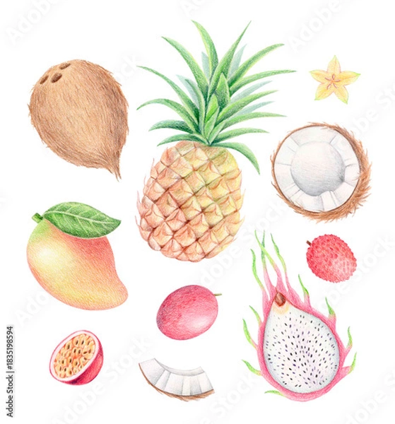 Fototapeta Watercolor and colored pencil set of tropical fruits: pineapple, coconut, mango, pitaya, lychee, passion fruit, and star fruit isolated on white. Botanical summer illustration for packaging and prints