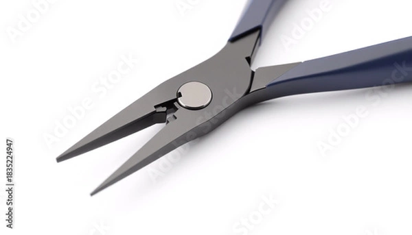 Obraz Needle Nose Plier Isolated on White Background