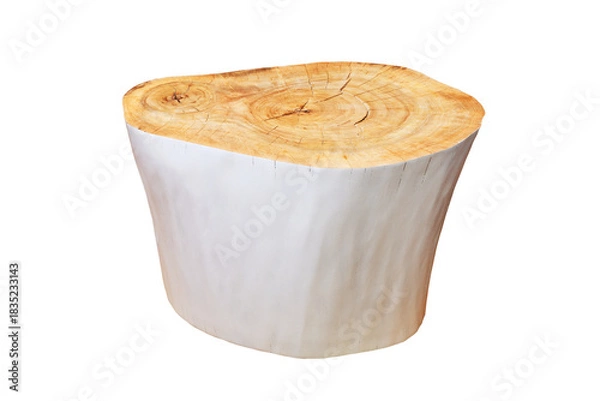 Fototapeta Wooden stump isolated on white background shows rings and natural texture for design use.