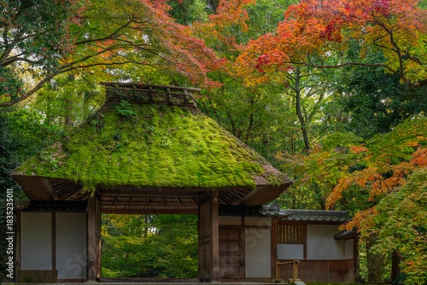 Obraz 紅葉と法然院