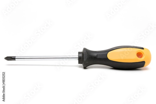 Obraz screwdriver