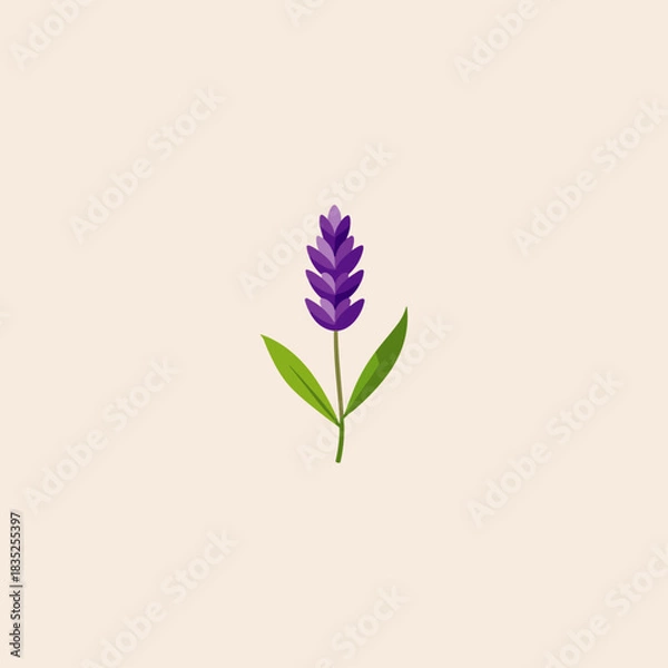 Obraz lavender flower icon flat vector design.
