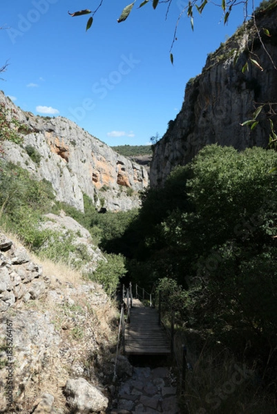 Fototapeta Pasareleas