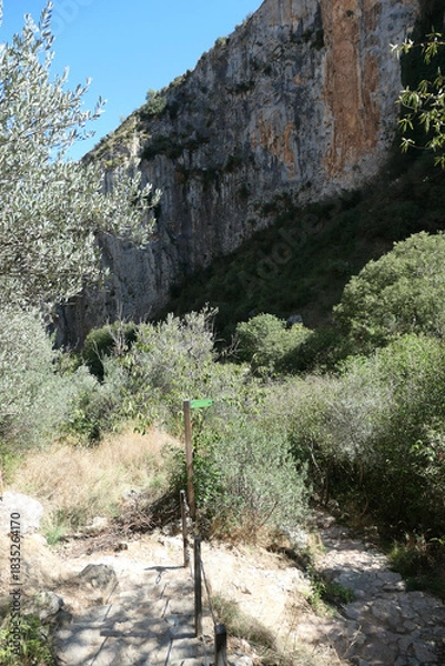 Fototapeta Pasareleas