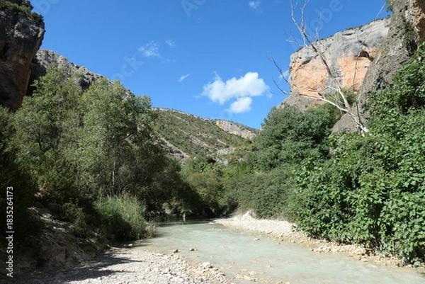 Fototapeta Pasareleas